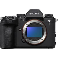 A賞-【SONY 索尼】A1M2 BODY α1 II 單機身